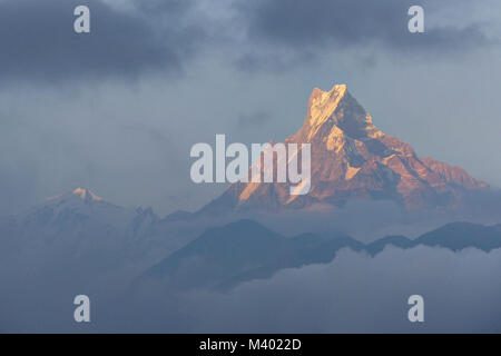 Montare Machhapuchchhre in sera soft della luce del sole, coda di pesce da montagna Ghandruk - Nepal Himalaya Foto Stock
