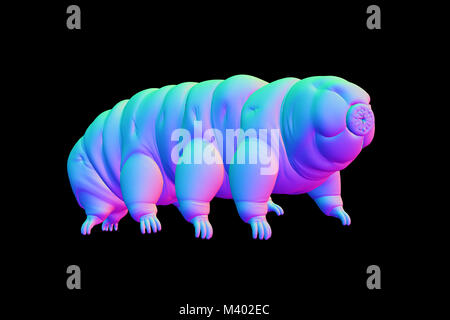 Tardigrada, acqua recare isolati su sfondo nero Foto Stock