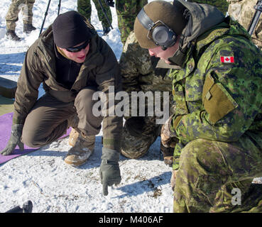 Yavoriv, Ucraina - statunitensi, canadesi, ucraino lituano e i membri del servizio condotta precisione di tiro di formazione presso il Yavoriv Combat Training Center qui Feb. 6. Attualmente più di 220 New York Army National Guard soldati sono dispiegati in Ucraina a lavorare mano nella mano con l'esercito ucraino nei loro sforzi verso il loro obiettivo di raggiungere l'interoperabilità della NATO. (U.S. Esercito foto di Sgt. Alexander rettore) Foto Stock