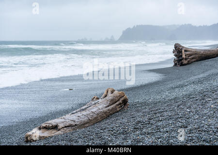 Rialto Beach sulla costa di Washington con un antico tronco di albero in primo piano. Foto Stock