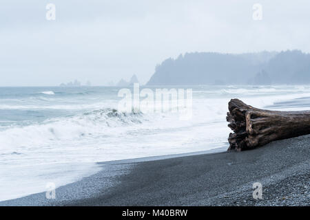Rialto Beach sulla costa di Washington con un antico tronco di albero in primo piano. Foto Stock
