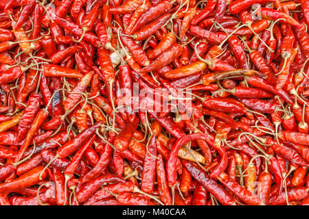 Essiccazione peperoncino peperoni. Himalaya, Nepal Foto Stock