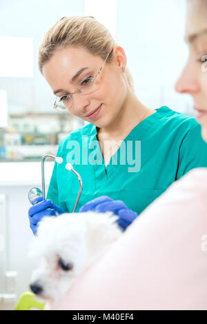 Vet femmina guarda al cane sostenuto dal suo proprietario. Visualizzazione verticale Foto Stock