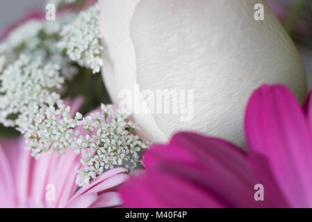 Abstract closeup di bouquet di fiori con gerbere Margherite, una rosa, e Bimbo di respiro Foto Stock