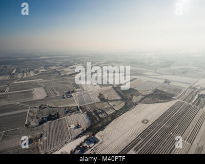 Vista aerea dell'inverno frutteti vicino Czersk, Polonia Foto Stock