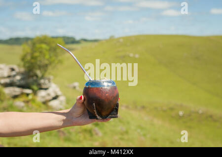 Mano di donna azienda tradizionale di mate mate, verde con vista sul campo. Foto Stock