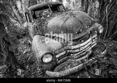 Vecchio arrugginito Chevy carrello nei boschi, trovati in Micanopy, Florida Foto Stock