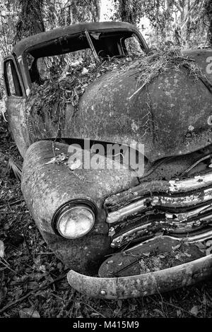 Vecchio arrugginito Chevy carrello nei boschi, trovati in Micanopy, Florida Foto Stock