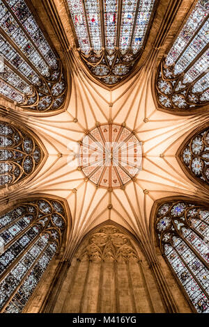 Le splendide vetrate e tetto ad atrio di York Minster Foto Stock