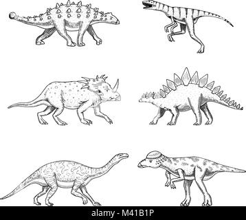 Set di dinosauri, Triceratops, Barosaurus, ampia lizard, Stegosaurus, Pachycephalosaurus, Diplodocus, Ankylosaurus, Velociraptor, scheletri, fossili. Rettili preistorici, animale disegnato a mano il vettore. Illustrazione Vettoriale