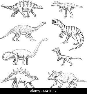 Set di dinosauri, triceratops, barosaurus, Tyrannosaurus rex, stegosaurus, pachycephalosaurus, diplodocus, deinonychus, velociraptor, scheletri, fossili. Rettili preistorici, animale disegnato a mano il vettore. Illustrazione Vettoriale