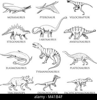 Set di dinosauri, Tyrannosaurus rex, Triceratops, Barosaurus, Diplodocus, Velociraptor, Triceratops, Stegosaurus, scheletri, fossili. Rettili preistorici, animale disegnato a mano il vettore. Illustrazione Vettoriale