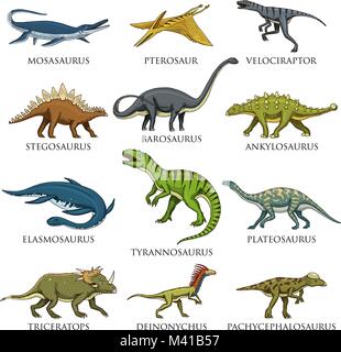 Set di dinosauri, Tyrannosaurus rex, Triceratops, Barosaurus, Diplodocus, Velociraptor, Triceratops, Stegosaurus, scheletri, fossili. Rettili preistorici, animale disegnato a mano il vettore. Illustrazione Vettoriale