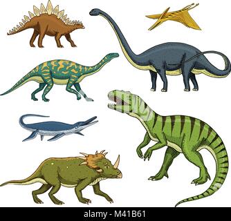 Set di dinosauri, Tyrannosaurus rex, Triceratops, Barosaurus, Diplodocus, Velociraptor, Triceratops, Stegosaurus, scheletri, fossili. Rettili preistorici, animale disegnato a mano il vettore. Illustrazione Vettoriale