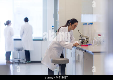 Donna scienziato guardando al microscopio Foto Stock