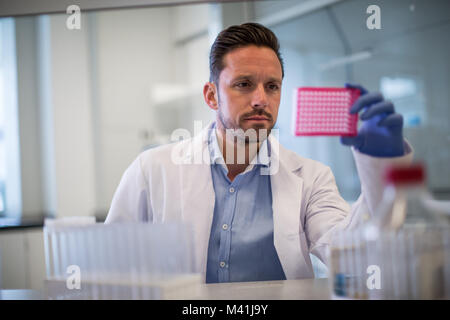 Scienziato maschio guardando micropiastra in un laboratorio Foto Stock