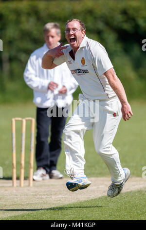 Il cricket, bowler celebrando paletto. Foto Stock