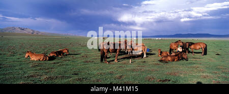 Mongolie, Ovorkhangai Provincia, Orkhon Valley, elencato come patrimonio mondiale dall' UNESCO Foto Stock