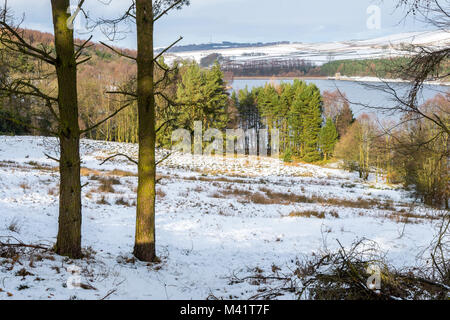 Serbatoio Errwood nel Goyt Valley, inverno, Parco Nazionale di Peak District,UK Foto Stock