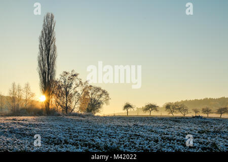 Una foto dal tardo pomeriggio sul campo congelati. Il sole sta andando verso il basso dietro gli alberi. Foto Stock