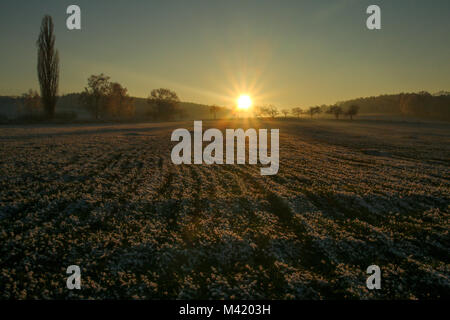 Una foto dal tardo pomeriggio sul campo congelati. Il sole sta andando verso il basso dietro gli alberi. Foto Stock