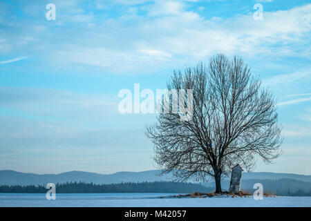 Una foto di un solitario abbandonati cappella pendente in piedi dal singolo albero sul campo. Foto Stock