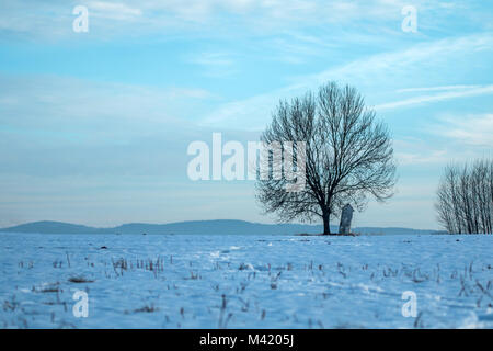 Una foto di un solitario abbandonati cappella pendente in piedi dal singolo albero sul campo. Foto Stock