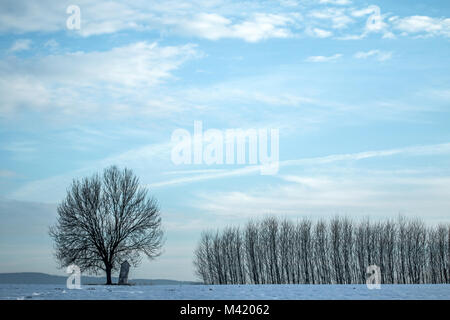 Una foto di un solitario abbandonati cappella pendente in piedi dal singolo albero sul campo. Foto Stock