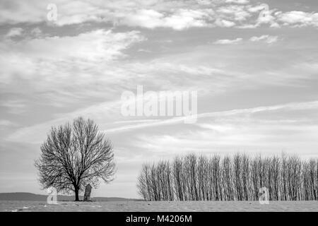 Una foto di un solitario abbandonati cappella pendente in piedi dal singolo albero sul campo. Foto Stock