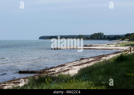 La spiaggia di Ulvshale, Moen Foto Stock