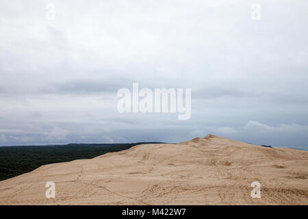 Panorama del Pilat Dune (Dune du Pilat) durante un pomeriggio nuvoloso con una foresta di pini in background. Pilat, o Duna del Pyla è la più grande duna di sabbia in Foto Stock