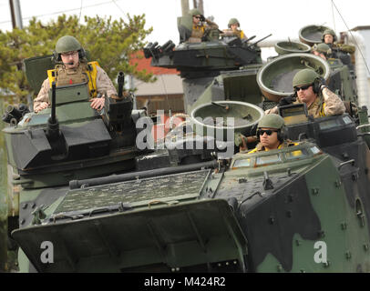 180210-N-abbiamo887-003 Norfolk, Virginia, (feb. 10, 2018) -- Marines assegnato alla quarta divisione Marine, 2° plotone, preparare Amphibious Assault veicoli per entrare in acqua durante un esercizio di formazione a livello della giunzione base Expeditionary Little Creek. Il semi-annuale di esercizio supporta la divisione ha la missione di fornire personale lotta personale di supporto per aumentare la componente attiva in tempo di guerra o in periodi di emergenza nazionale. (U.S. Foto di Marina di Massa lo specialista di comunicazione 1a classe Gina K. Danals/rilasciato) Foto Stock