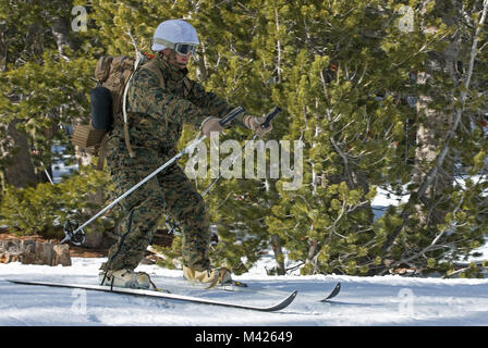 La Marina degli Stati Uniti con Fox Company, 2° Battaglione, quinto reggimento Marine, Marine Corps base Camp Pendleton, California, sci nelle montagne del Toiyabe National Forest, Marine Corps Mountain Warfare formazione comando, Bridgeport, California, Gennaio 30, 2018. Il corso di formazione prepara Marines per eseguire in condizioni di basse temperature. (U.S. Marine Corps Photo by Lance Cpl. Jennessa Davey) Foto Stock