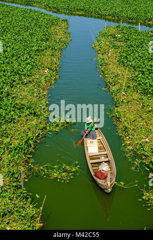 Un pescatore è il canottaggio la sua barca attraverso la vegetazione verde sul lago Taungthaman, visto da U Bein Bridge Foto Stock