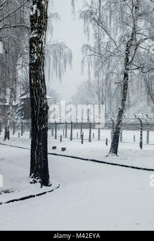 Auschwitz, Piccola Polonia / Polonia - Feb 04 2018: Auschwitz Birkenau, campo di lavoro e sterminio nazista. Foto Stock