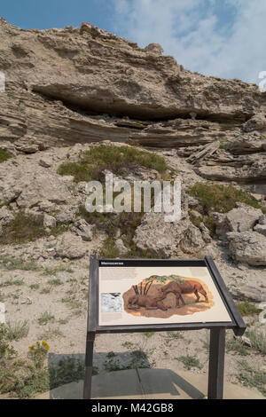 Harrison, Nebraska - Agate Fossil Beds National Monument. I fossili di scheletri di centinaia di antichi animali sono stati scoperti nei primi 20 Foto Stock