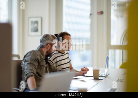 I colleghi che guardano un notebook insieme Foto Stock