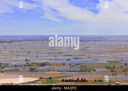 Risaie allagate nel delta del fiume Ebro, la Catalogna in Spagna Foto Stock