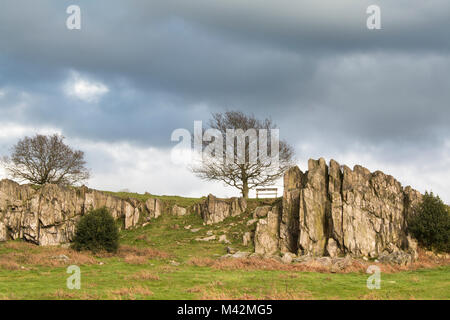 Un'immagine che mostra le formazioni rocciose sulla collina a Beacon Hill Country Park, Leicestershire, England, Regno Unito Foto Stock