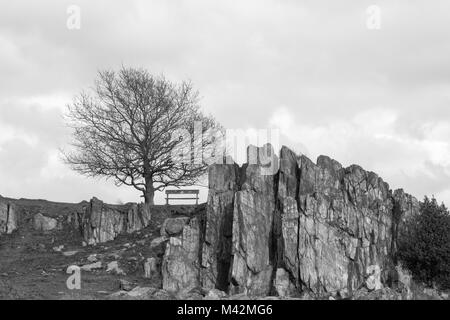 Un'immagine monocromatica di una formazione di roccia e una panca per sedersi e godere di vedute, Beacon Hill Country Park, Leicestershire, England, Regno Unito Foto Stock