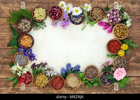 La medicina di erbe del bordo dello sfondo con i fiori e le erbe utilizzate in alternativa naturale rimedi con erbe aromatiche e fiori su carta pergamena. Foto Stock