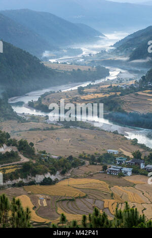 Punakha, Bhutan. Nebbia di mattina in Mo River Valley. Foto Stock
