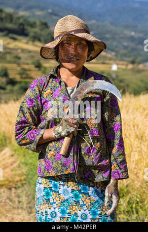 Punakha, Bhutan. Bhutanese di donna con la sua falce per la mietitura del riso nel suo campo. Foto Stock