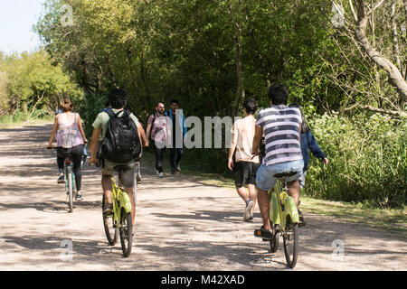 Persone ciclismo in Costanera Sur Riserva Ecologica, Buenos Aires, Argentina Foto Stock