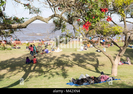 Buenos Aires Costanera Sur Riserva Ecologica, Argentina Foto Stock