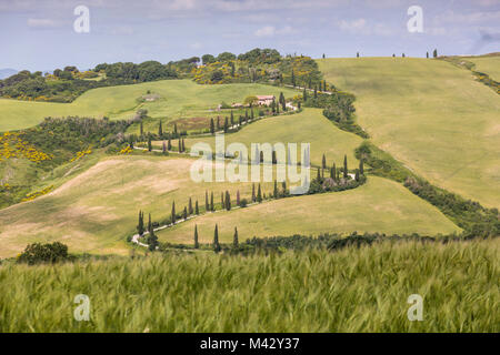 Toscana, Provenza di Siena, La Foce in Toscana colline, Italia Foto Stock