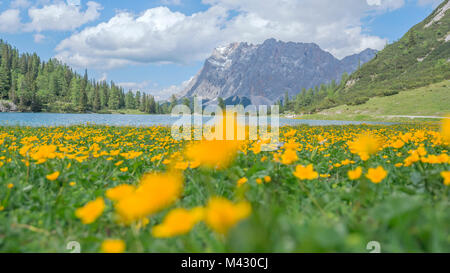 Seebensee, Mieming, Imst, Tirolo - Tirolo, Austria, Europa Foto Stock