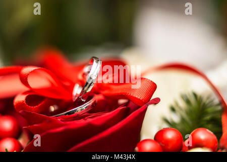 Gli anelli di nozze su una rosa Foto Stock