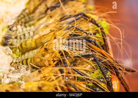 Congelati freschi possente fiume tigre gamberetto boreale disposizione di fronte al ristorante. Concetto di frutti di mare. Foto Stock