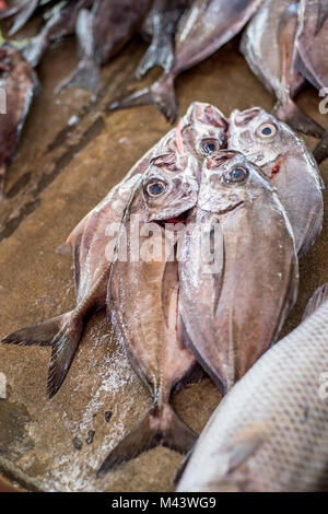 Una vista al Mercato di Mahea, le Seychelles. Credito: Euan Cherry Foto Stock